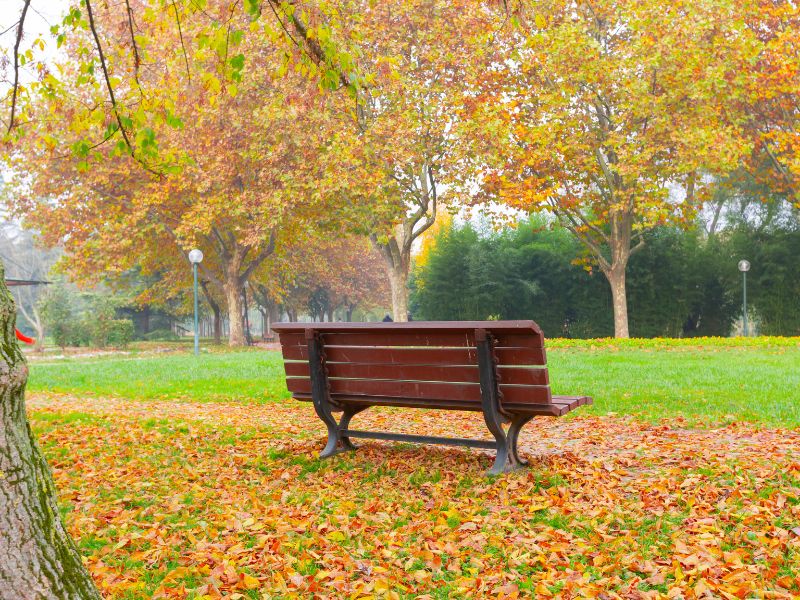 Parent consultation and coaching